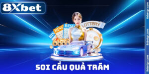 soi cầu quả trám